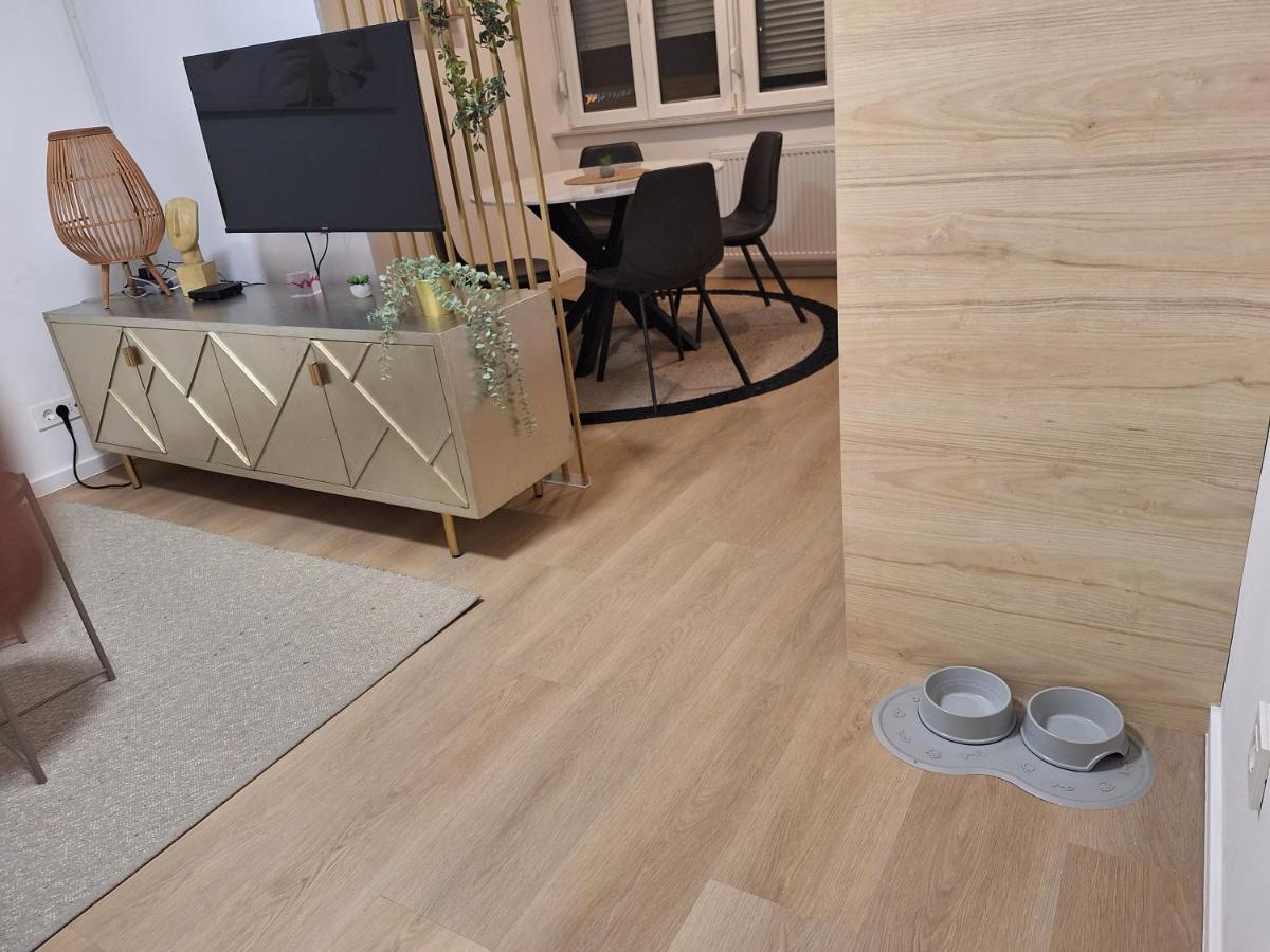 Dolly Apartment زغرب المظهر الخارجي الصورة